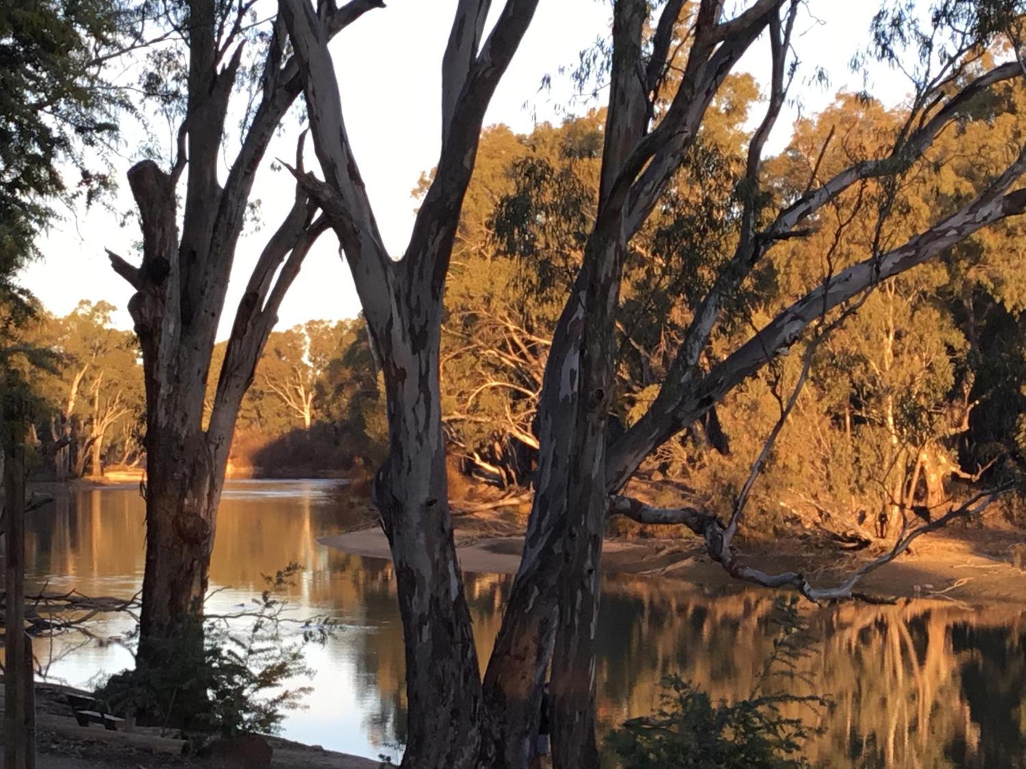 Deniliquin Riverside Caravan Park Luaran gambar
