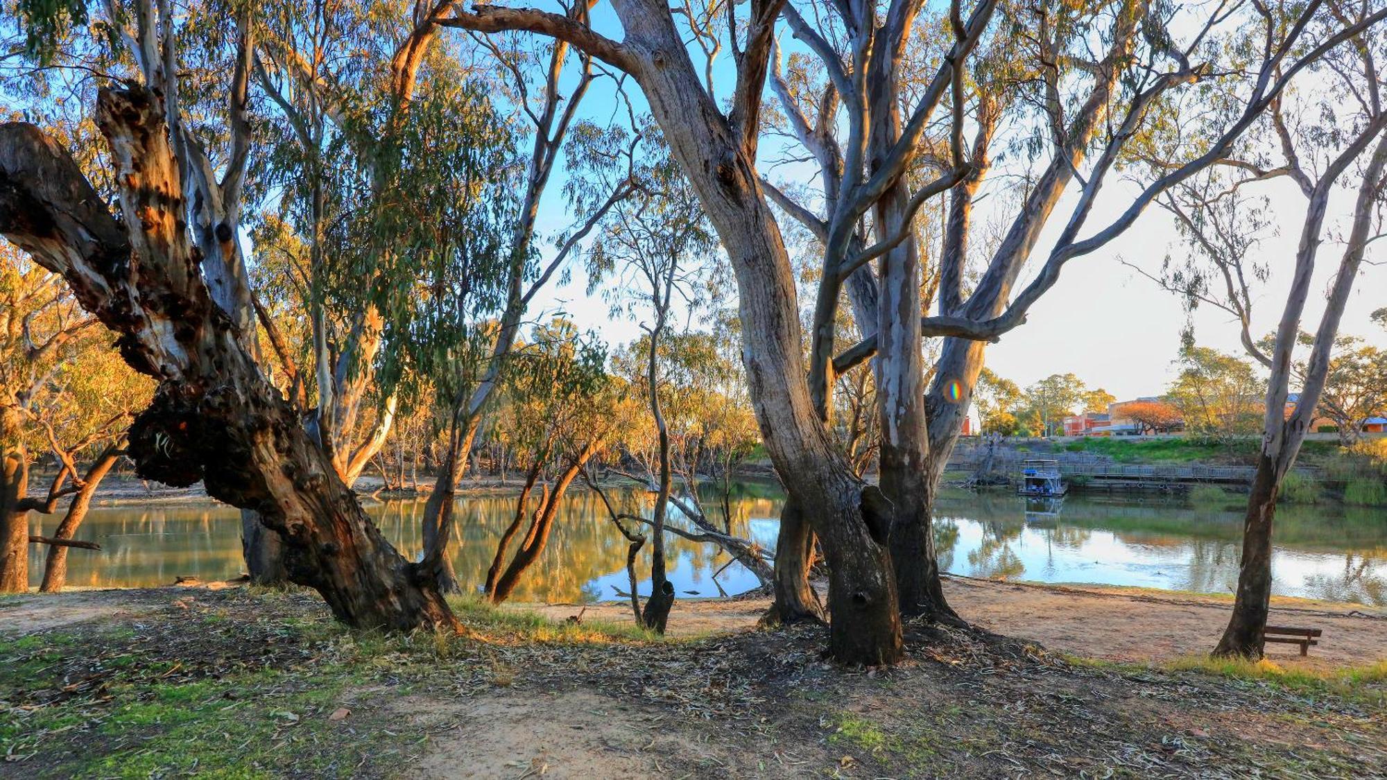 Deniliquin Riverside Caravan Park Luaran gambar
